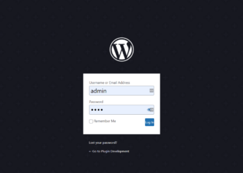 5 WordPress Plugins to Customize Your Admin Login Page