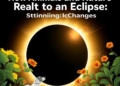 How Animals and Nature React to an Eclipse: Stunning Changes