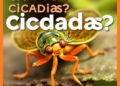 Can You Eat Cicadas? Safety, Taste, and Nutrition Explained