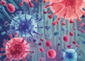 How COVID-19 Vaccines and Infections Are Changing Immunity