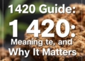 1420 Guide: Meaning, Uses, and Why It Matters