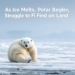 As the Ice Melts, Polar Bears Struggle to Find Food on Land